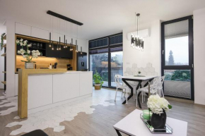 Luxury Landing 1-centrally located accomodation with private parking Targu Mures